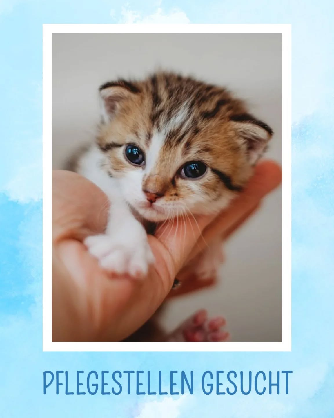 pflegestellengesucht